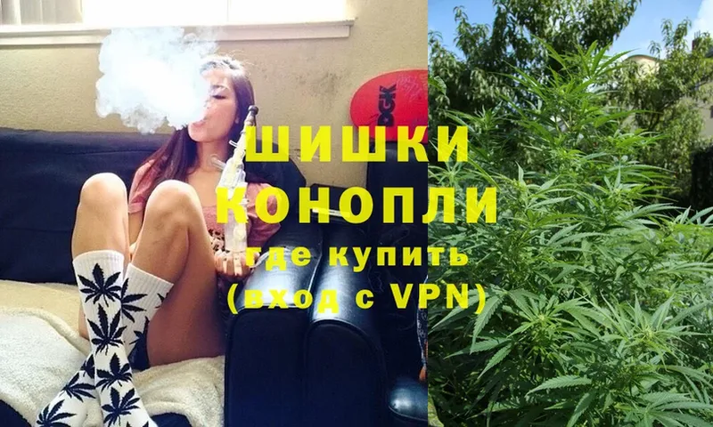 Шишки марихуана Ganja  как найти закладки  Вытегра 